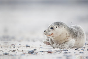 08410941.jpg 08410941.jpg