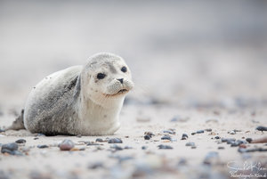 08460939.jpg 08460939.jpg