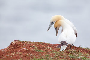 08471026.jpg 08471026.jpg