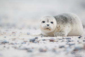 08500941.jpg 08500941.jpg