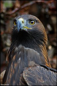 Photo- 2.jpg Photo- 2.jpg