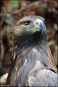 Photo- 3.jpg Photo- 3.jpg