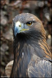 Photo- 4.jpg Photo- 4.jpg