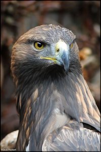 Photo- 5.jpg Photo- 5.jpg