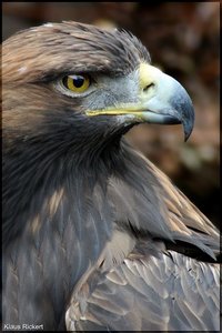 Photo- 6.jpg Photo- 6.jpg