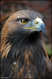 Photo- 7.jpg Photo- 7.jpg