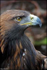 Photo- 8.jpg Photo- 8.jpg