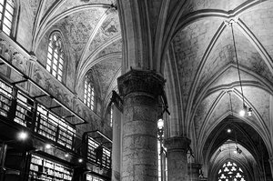 DSC_5573_ji_filtered_c.jpg DSC_5573_ji_filtered_c.jpg