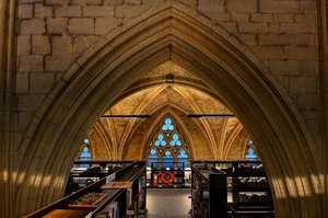 DSC_5601_ji_filtered_c.jpg DSC_5601_ji_filtered_c.jpg