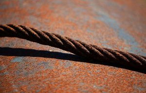 DSC_3785 (Large).jpg