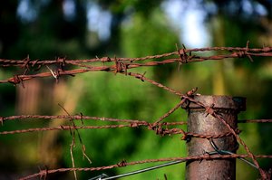 Rost mit Stacheln.jpg