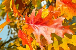 comp_f8.jpg comp_f8.jpg