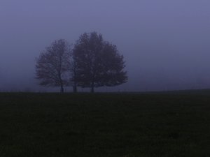 comp_DSC05370 (2).jpg comp_DSC05370 (2).jpg