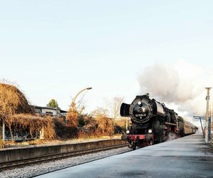 comp__DSC0162.jpg comp__DSC0162.jpg