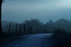 Fog DSC00007  NEX 5R + Industar 61 2,8 50mm cut (c) PPf.jpg