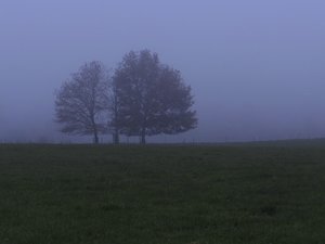 comp_DSC05370.jpg comp_DSC05370.jpg