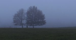 comp_DSC05370.jpg comp_DSC05370.jpg