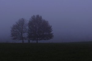 six.tl_DSC05370 (2).jpg six.tl_DSC05370 (2).jpg