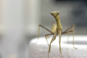 entwickelt--4569 _1200.jpg