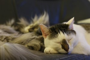 500-_MG_0083.jpg 500-_MG_0083.jpg