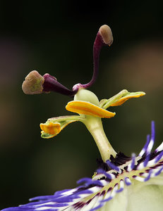 Stack 01 - klein.jpg