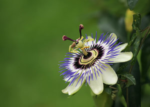 Stack 02 - klein.jpg