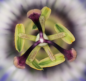 Stack 04 - klein.jpg