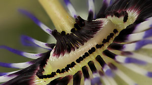 Stack 05 - klein.jpg