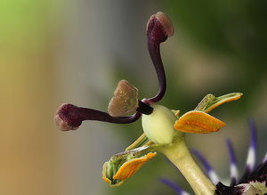 Stack 06 - klein.jpg