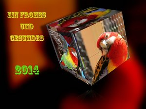 comp_Würfel 2-2.jpg