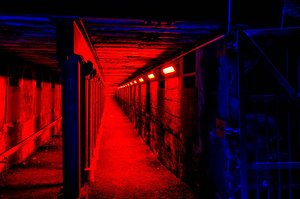 comp__DSC4323.jpg comp__DSC4323.jpg