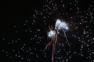 Forum DSC00511  NEX 5R + Trioplan 2,9 50mm (c) PPf.jpg