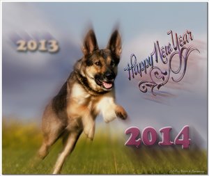 comp_zeitsprung.jpg comp_zeitsprung.jpg