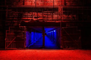 comp__DSC4329.jpg comp__DSC4329.jpg