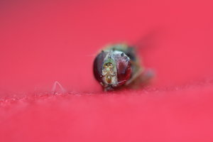 IMG_6671_Bildgröße ändern.JPG