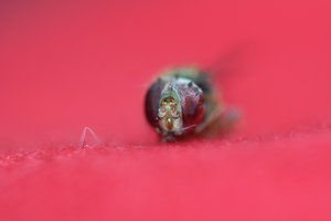 IMG_6673_Bildgröße ändern.JPG