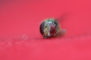 IMG_6674_Bildgröße ändern.JPG