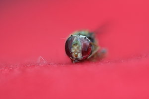 IMG_6677_Bildgröße ändern.JPG