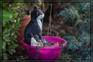 comp_DSC05418 (1).jpg