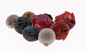 Stack 01 - klein neu.jpg