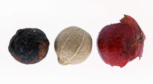 Stack 02 - klein.jpg