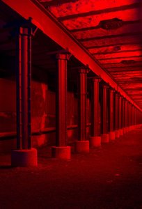 _MG_0872_1.jpg _MG_0872_1.jpg