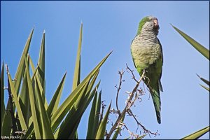 Photo- 1.jpg Photo- 1.jpg