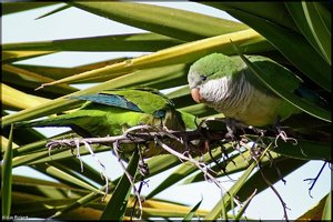 Photo- 2.jpg Photo- 2.jpg