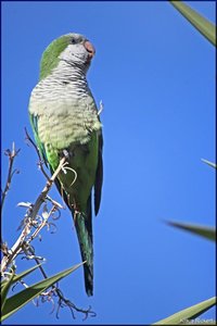 Photo- 4.jpg Photo- 4.jpg