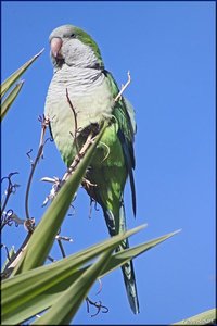 Photo- 5.jpg Photo- 5.jpg