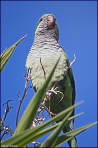 Photo- 6.jpg Photo- 6.jpg