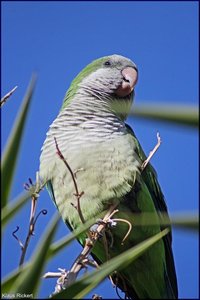 Photo- 7.jpg Photo- 7.jpg