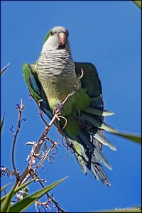 Photo- 8.jpg Photo- 8.jpg