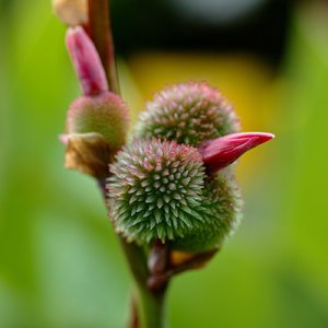 BF_DP3M0112 Kopie.jpg